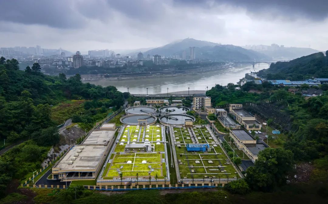 AG真人官方(中国)官方网站IOS/安卓通用版/手机app下载